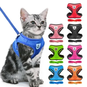 Cat Harness Vest Walking Lead Leash For Puppy Dogs Collar Polyester Adjustable Mesh Dog Harness For Small Medium Pet Accessories - AliExpress 15